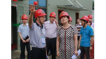 南寧市委常委、副市長陳穎一行蒞臨公司調研