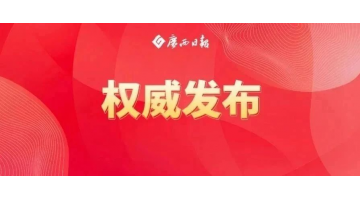 陳剛：堅持標本兼治聚力排查整治守牢生態(tài)底線，扎實推動有色金屬產業(yè)高質量發(fā)展